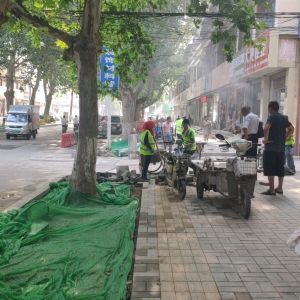 路面升級整治